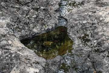 De ruta por el macizo de Tamadaba/Antonio Ali.